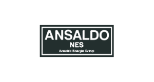 Ansaldo NES