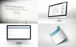Survey and infographic design for financial services