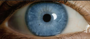 close up of an eye