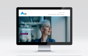 Air website screen
