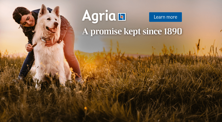 Agria pet cover banner - dog and owner in field