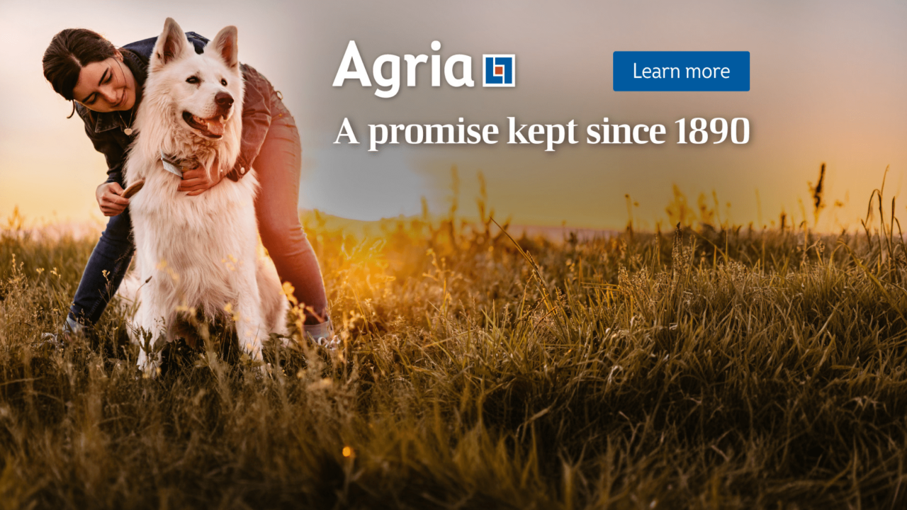 Agria pet cover banner - dog and owner in field